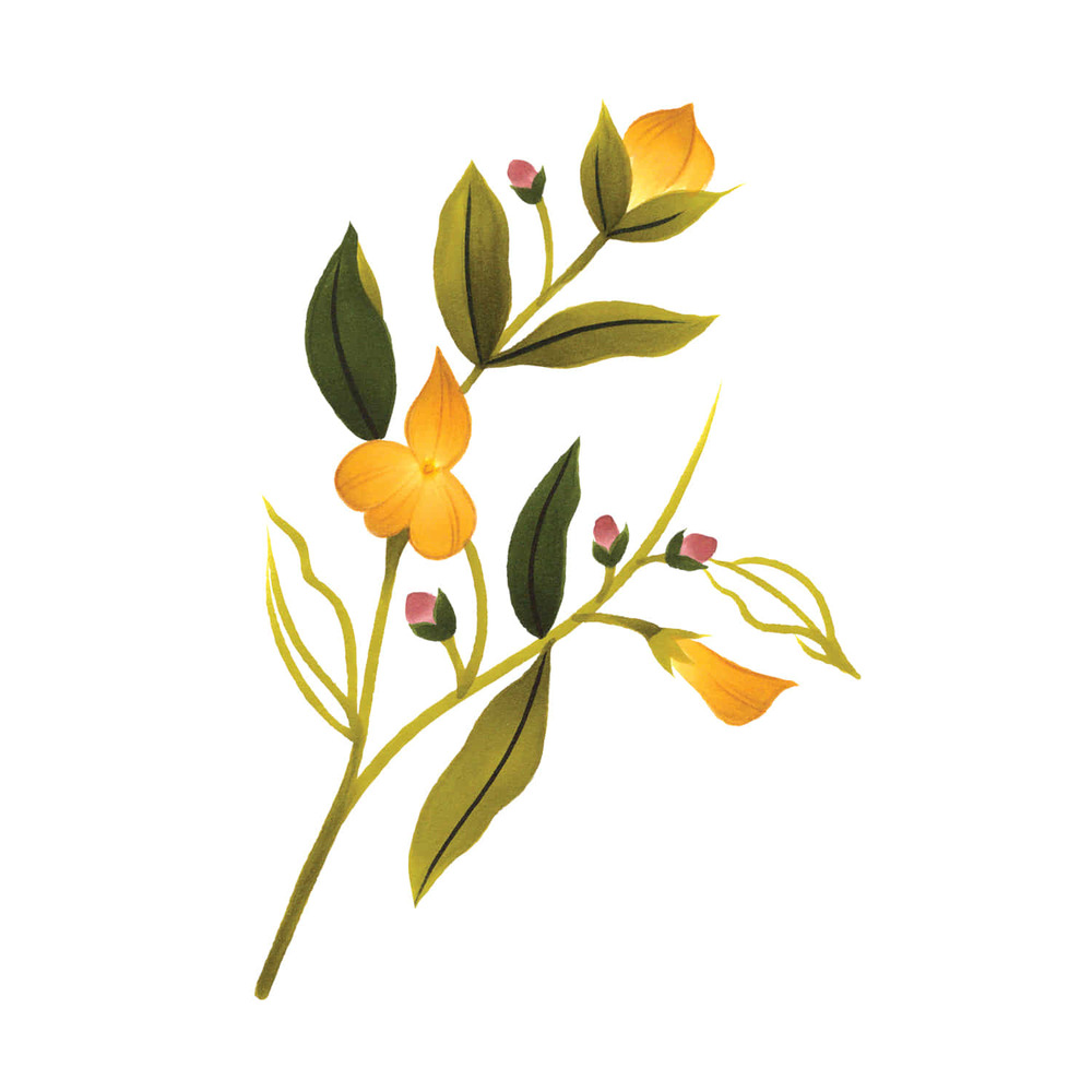 [Tattly] Yellow Floral 타투스티커